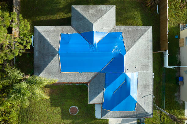 Best Roof Maintenance and Cleaning  in East Los Angeles, CA